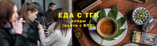 индика Абаза