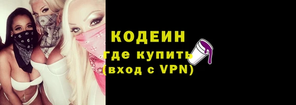 индика Абаза