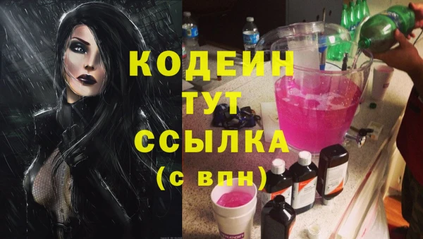 индика Абаза