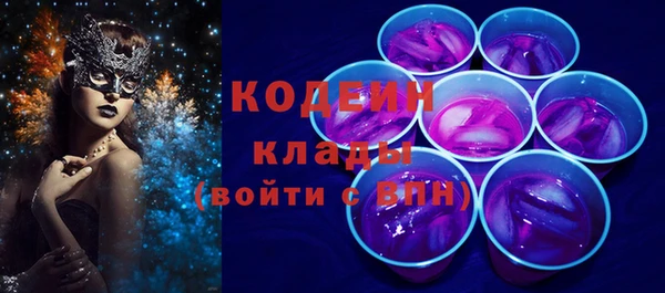 индика Абаза