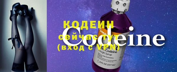 индика Абаза